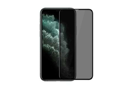 Lito Hd Pro Ekran Korucu İphone 12/12 Pro Hayalet